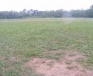 School Field